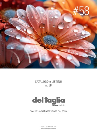 del taglia - listino 58